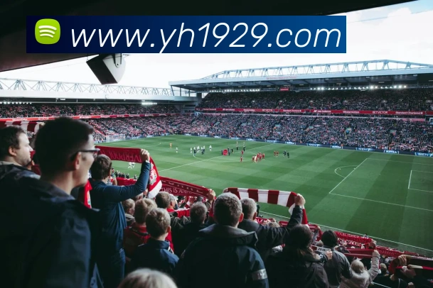 多媒体互动体验